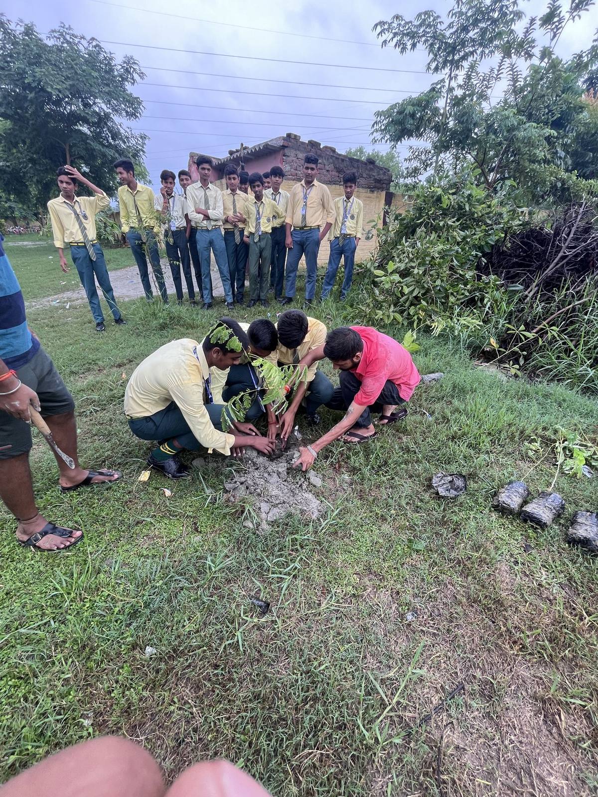 Volunteers and students planting a tree together at the Hariyali Mission Green Drive